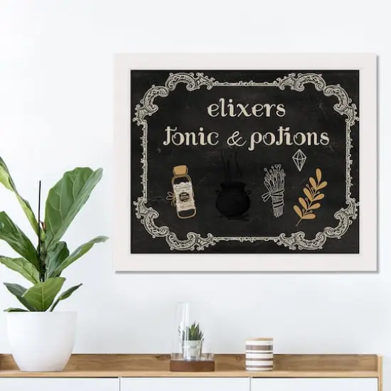 Elixers Tonic Potions 2 16" x 20" White Framed Print Under Plexiglass {4}