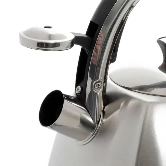 Mr. Coffee Belgrove 2.5qt. Brushed Stainless Steel Whistling Tea Kettle with Nylon Handle {5}