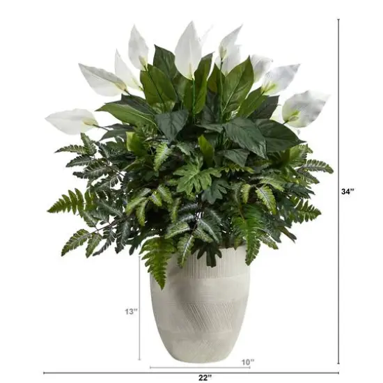 3ft. Mixed Peace Lily Plant in Decorative White Planter {3}