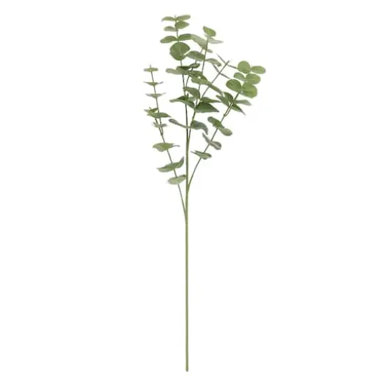 Green Gunni Eucalyptus Stem by Ashland&reg; {1}
