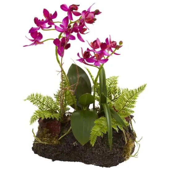 10" Orchid Island Arrangement, 2ct. {4}