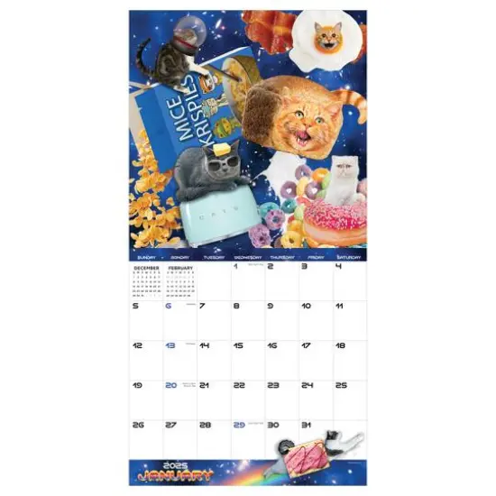 TF Publishing 2025 Space Cats Wall Calendar {6}