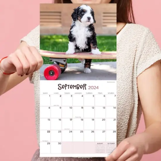 TF Publishing 2024 Puppies Mini Calendar {6}