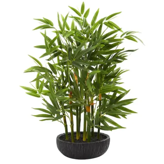 20" Potted Bamboo Tree {1}