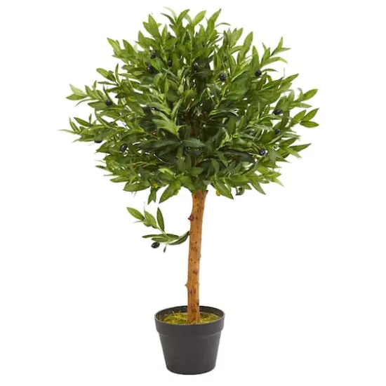 3ft. Potted Olive Topiary Tree {1}