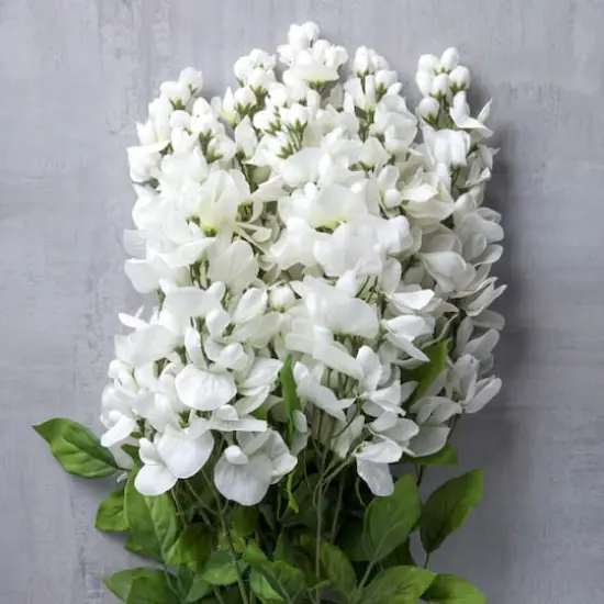 17" White Wisteria Bush by Ashland&reg; {5}
