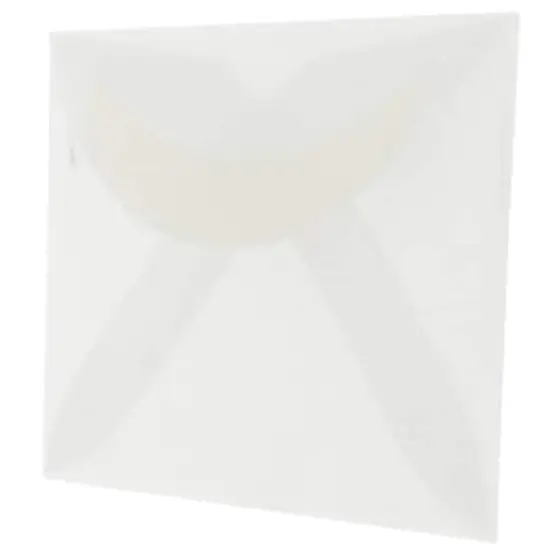 JAM Paper 3Drug Clear Translucent Vellum Envelopes 100ct. {3}