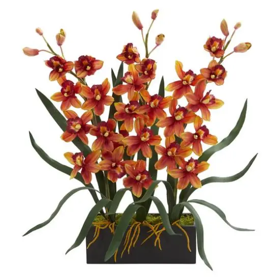 2ft. Red & Orange Orchid Arrangement in Black Vase {1}