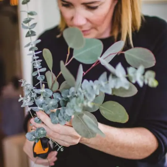 Fiskars&reg; 7.25" Floral Pruner {11}