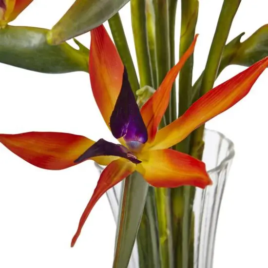 2.5ft. Bird of Paradise Flowers in Glass Cylinder Vase {3}