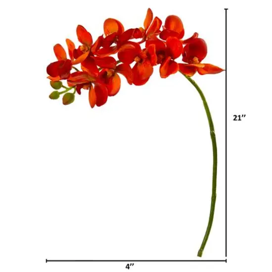 Moth Orchid Stem, 6ct. Orange {3}
