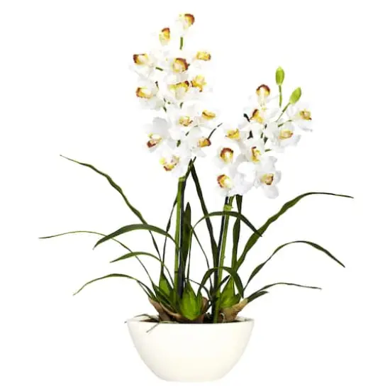 2.5ft. White Boat Orchid in White Vase {1}