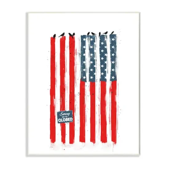 Stupell Industries American Flag Birds on Wall Political Statement Wall Plaque Art {1}