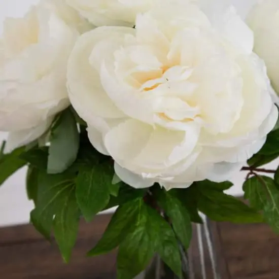 16" White Peony Arrangement in Glass Vase {4}