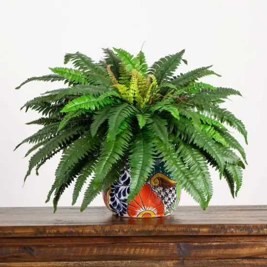 3.5ft Artificial Double Boston Fern in Handmade Mexican Talavera Ceramic Planter {8}