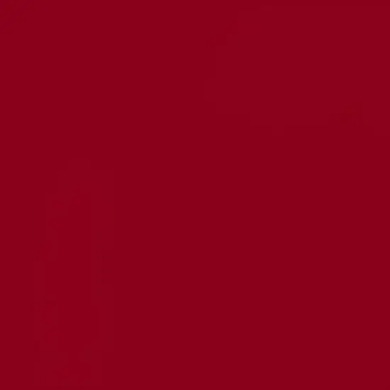 Rust-Oleum® Painter's Touch® 2X Ultra Cover® Gloss Spray Paint Colonial Red {4}