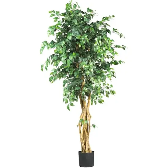 6ft. Potted Palace Style Ficus Tree {1}