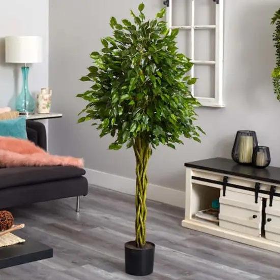 5ft. Potted Woven Trunk Ficus Tree {5}