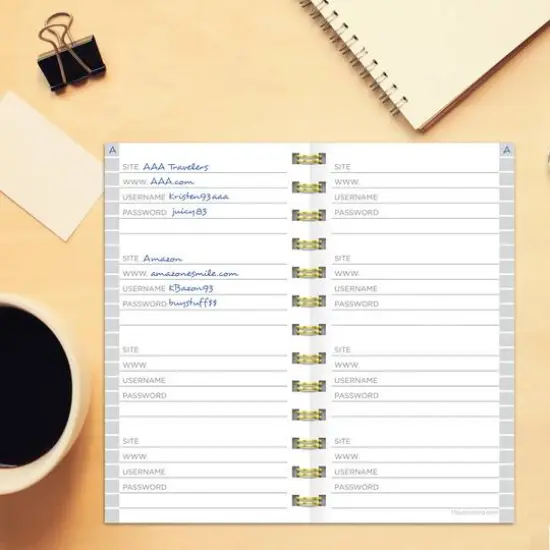 TF Publishing Joy Spiral Password Book {6}
