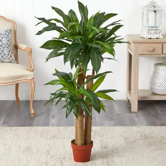 4ft. Corn Stalk Dracaena Silk Plant {3}