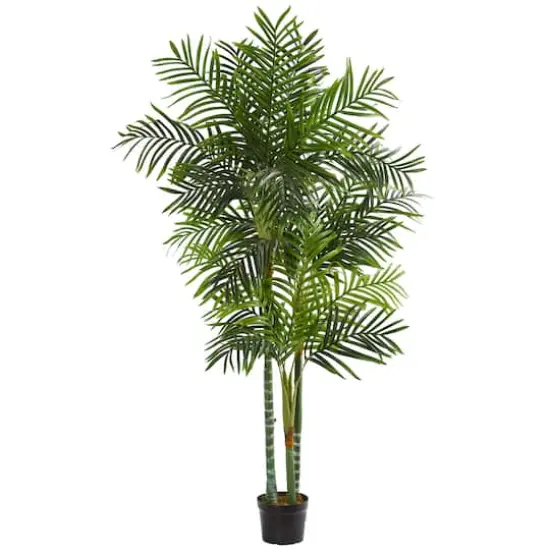 7.5ft. Potted Areca Palm Tree {1}