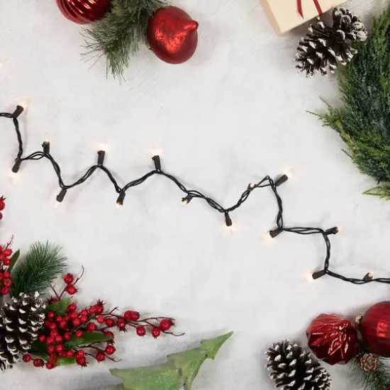 100ct. Mini Christmas String Lights with Black Wire Clear {7}