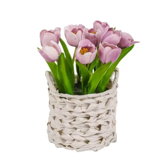 10" Tulip Bouquet in White Basket Mauve {1}