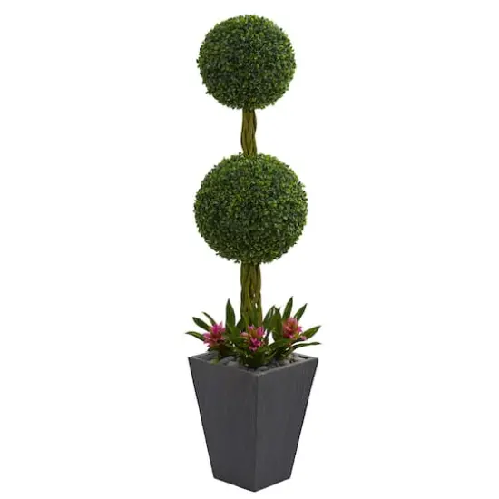 5ft. Double Boxwood Ball Topiary Tree with Bromeliads in Slate Planter {1}