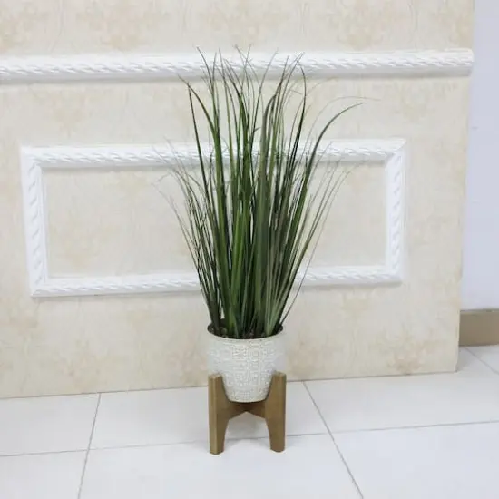 Flora Bunda&reg; 31" Onion Grass In 6.6" Catheral Ceramic Pot On Stand {4}