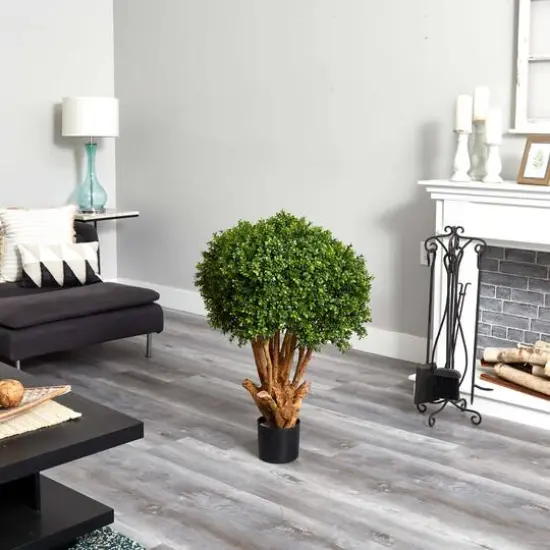 3ft. Potted Boxwood Topiary Tree  {5}