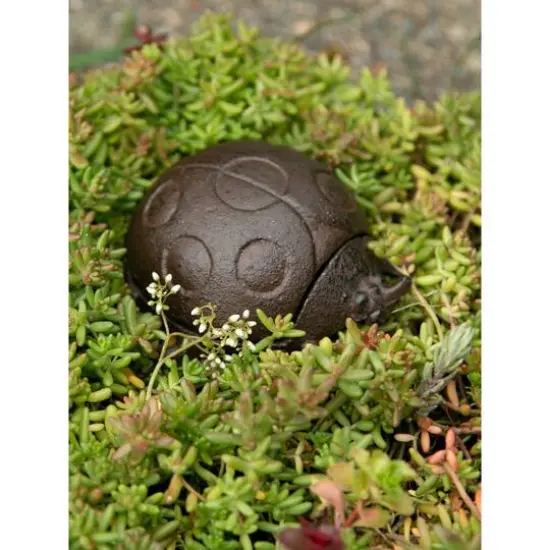 Secure Cast Iron Ladybug Secret Key Holder {5}
