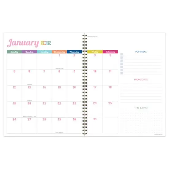 TF Publishing 2025 Large Madras Plaid Weekly Monthly Spiral Planner {3}
