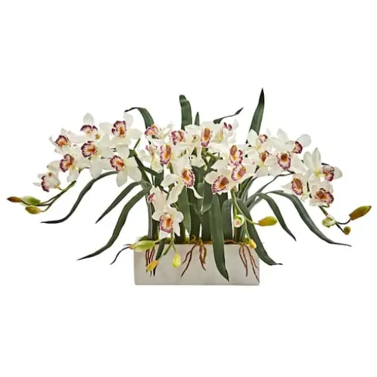 15" White Boat Orchid Arrangement in White Vase {1}
