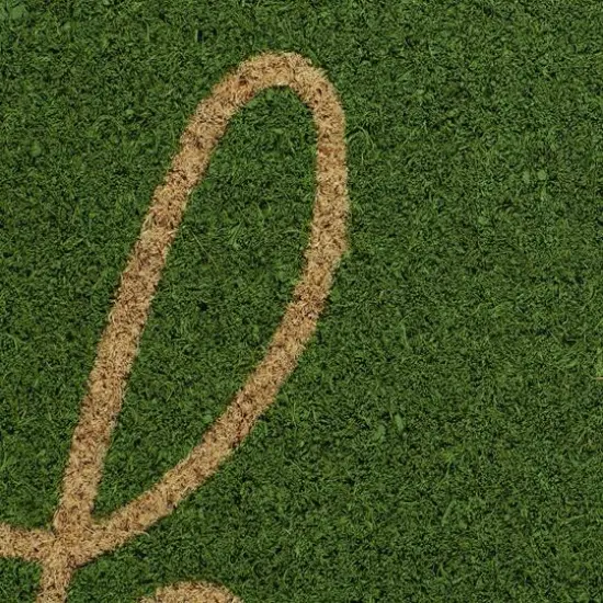 DII&reg; Hello Doormat Green Apple {7}