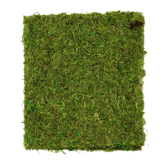 Moss Mat by Ashland&reg; {1}