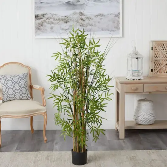 5ft. Potted Bamboo Grass Plant {3}