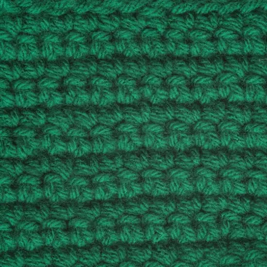 Caron&reg; One Pound&trade; Yarn Kelly Green {4}