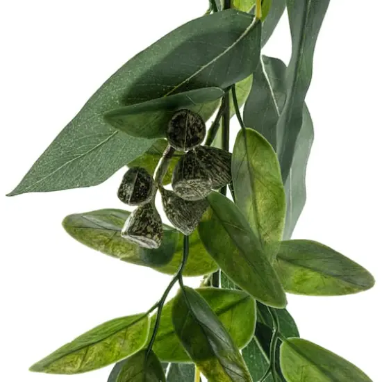 6ft. Eucalyptus Garland with Green Berries by Ashland&reg; {5}