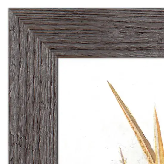 Teal Harvest Still Life Western Gray Framed Print {4}