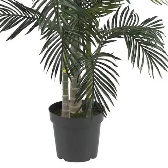 6.5ft. Potted Golden Cane Palm Tree {5}