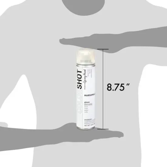 COLORSHOT&reg; Premium Gloss Spray Paint Marshmellow {7}