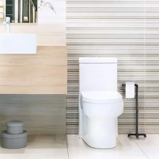 Black Free Standing Toilet Paper Holder Stand {3}