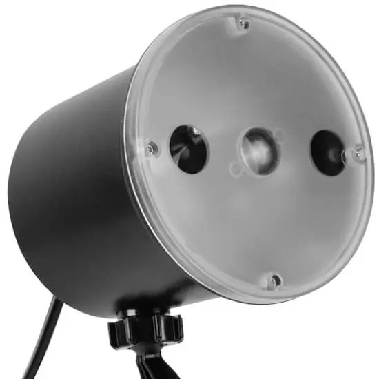 LightShow&reg; Projection&trade; Cascading Spiders by Ashland&reg; {4}