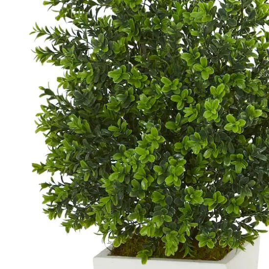 2.75ft. Sweet Grass Plant in White Tower Planter {3}