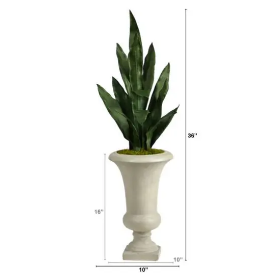 3ft. Snake Plant in Sand Colored Urn {3}