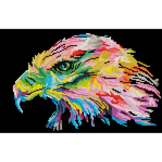 Diamond Dotz&reg; Eagle Eye Diamond Painting Kit {1}