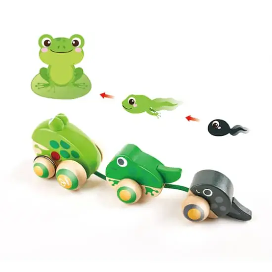 Hape Pull-Along Frog Family Wooden Toddler Toy {5}