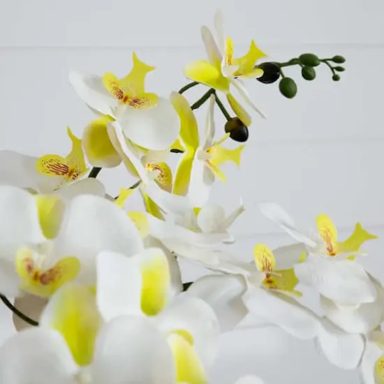 23" Orchid Arrangement in White Ceramic Planter {5}