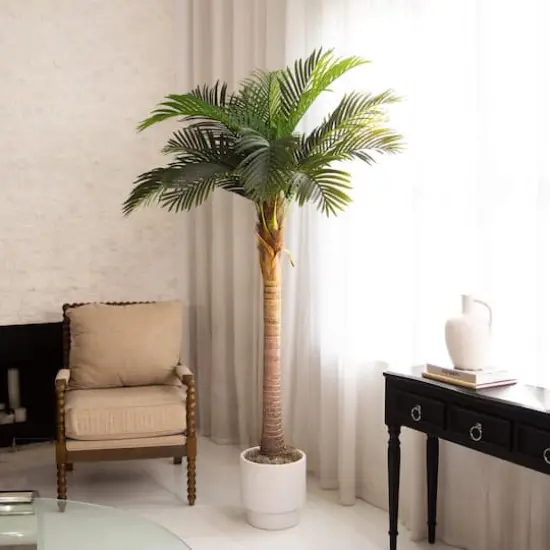 7ft. Potted Coconut Palm Tree {3}