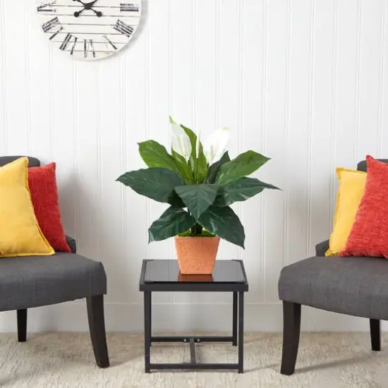 2ft. Peace Lily Plant in Terra Cotta Planter {4}